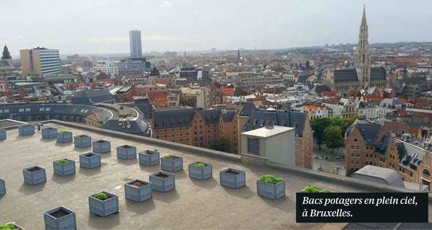 photo_article_bruxelles