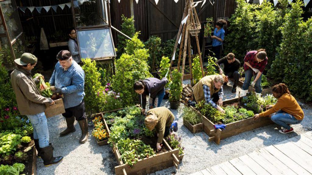 Bacs en toiture, agriculture urbaine Belgique